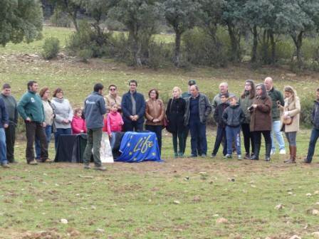 Suelta de linces ibéricos en El Viso del Marqués (Ciudad Real)