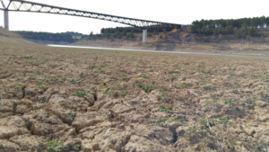 Imagen del embalse de Buendía a la altura del puente de Alcocer, trasvase, Entrepeñas y Buendía