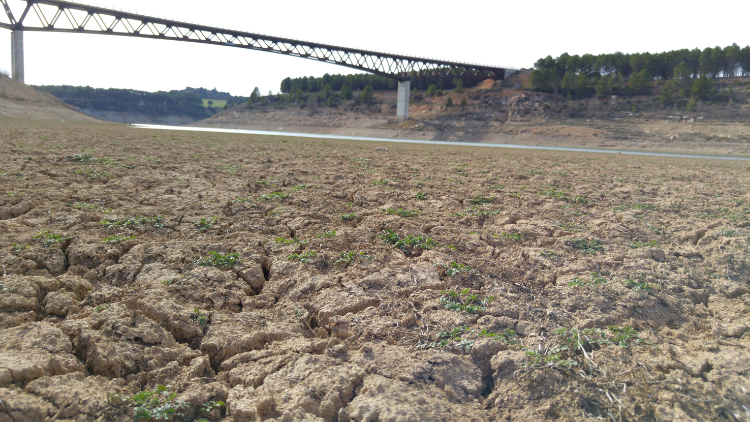 Imagen del embalse de Buendía a la altura del puente de Alcocer, trasvase, Entrepeñas y Buendía