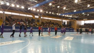 Balonmano Guadalajara.