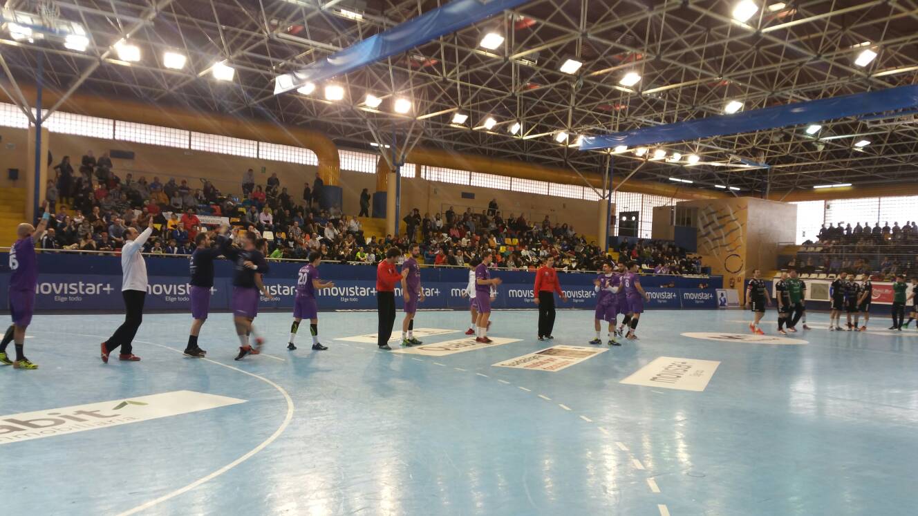 Balonmano Guadalajara.