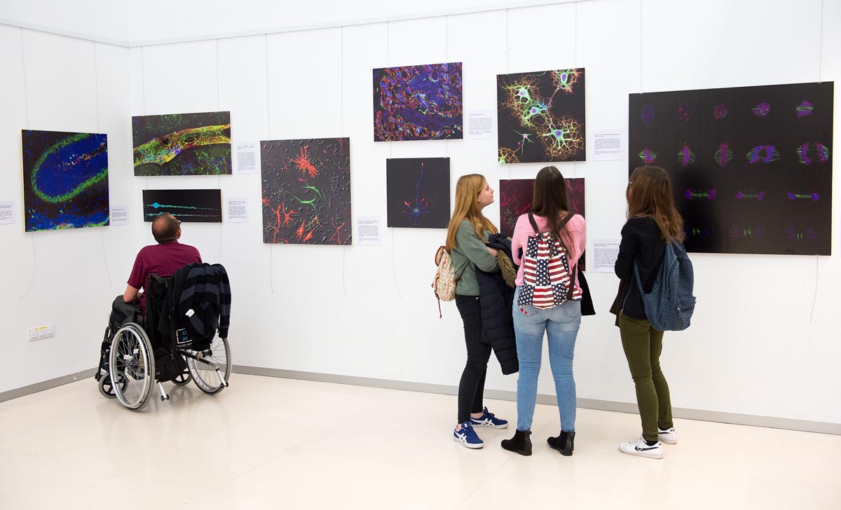 Exposición La belleza de lo pequeño.