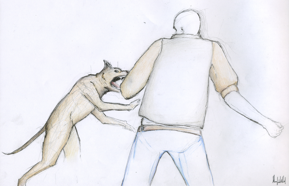 Ilustración de un perro peligroso atacando
