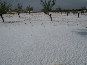 Granizada en San Pedro (Albacete)