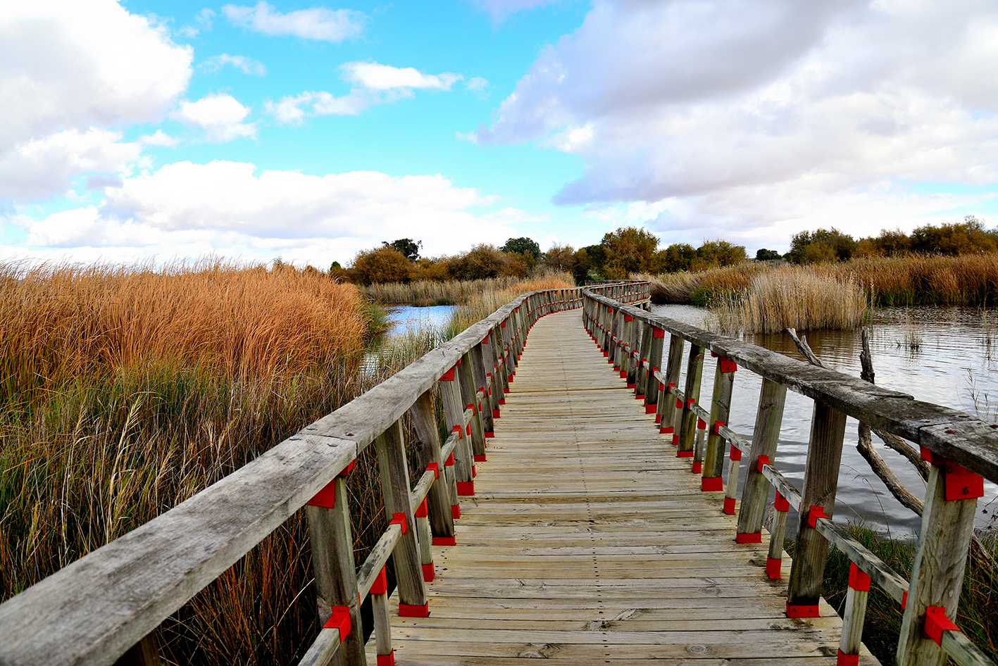 Tablas de Daimiel en los humedales manchegos