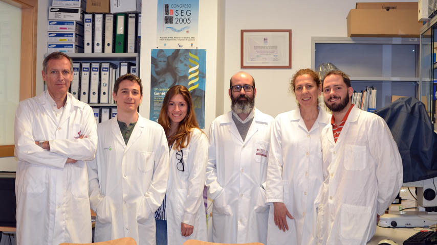Grupo de Genética Molecular Humana de la Universidad de Castilla-La Mancha (UCLM).