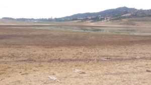 La "playa" de Sacedón en el embalse de Entrepeñas. Entrepeñas y Buendía