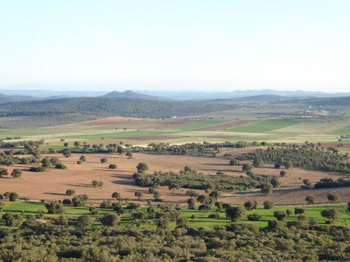 Imagen de Torrenueva colgada por la Plataforma Sí a la Tierra Viva. Frentes Locales Antimina