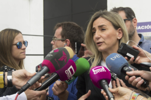 Tolón hablando sobre las conexiones en el arroyo del Aserradero