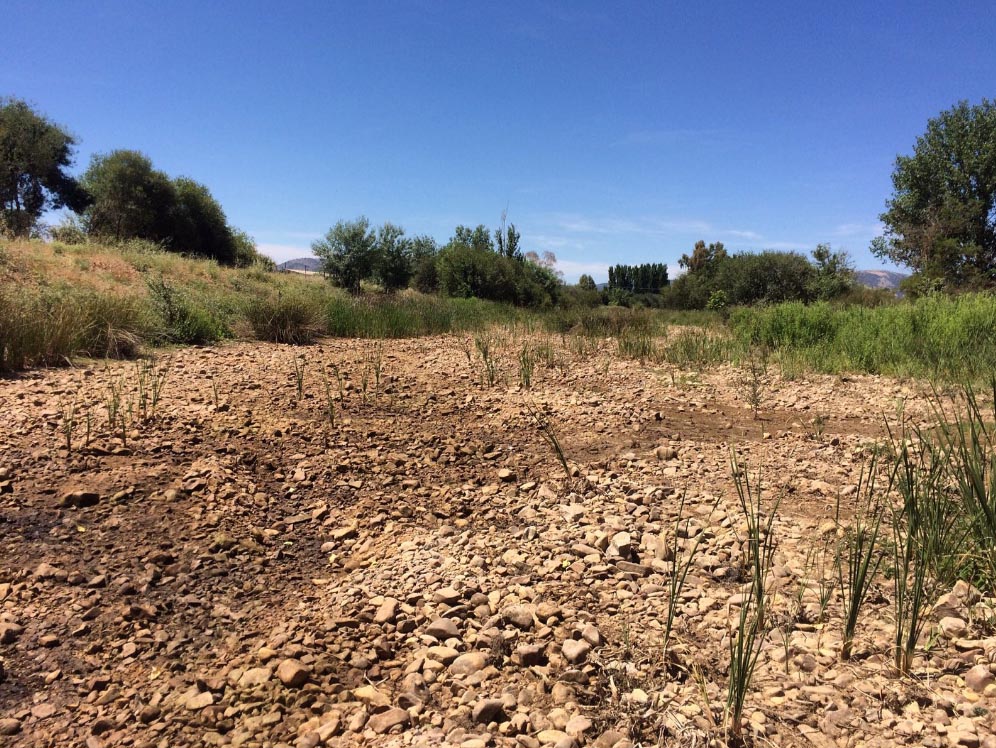 Situación del río Bullaque en El Robledo.