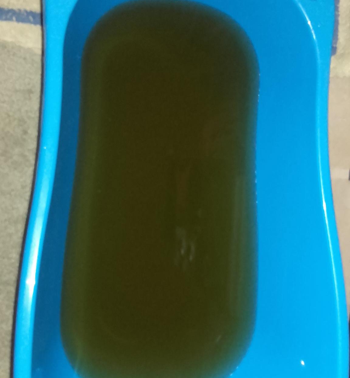 El agua de Argés presentaba ayer esta pésima calidad.