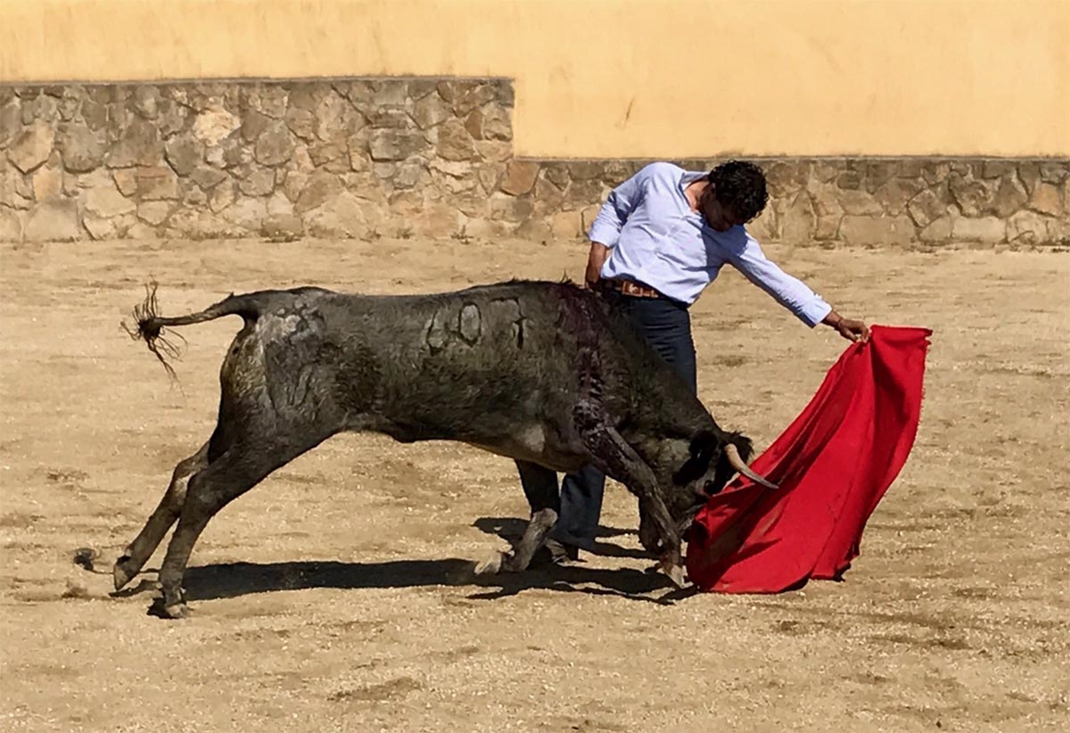 Iván Fandiño deja una gran huella en la afición de CLM