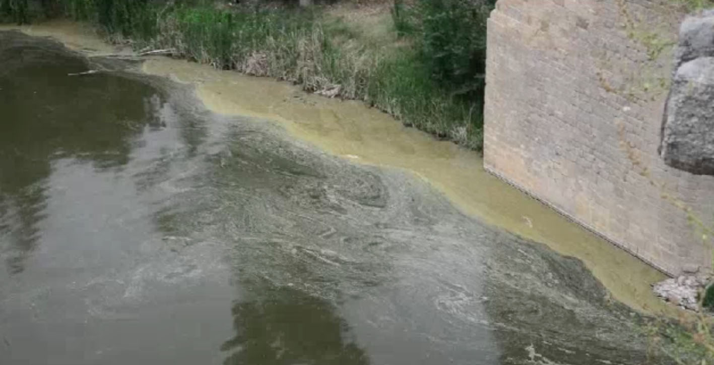 El río Tajo, un estercolero. Aranjuez