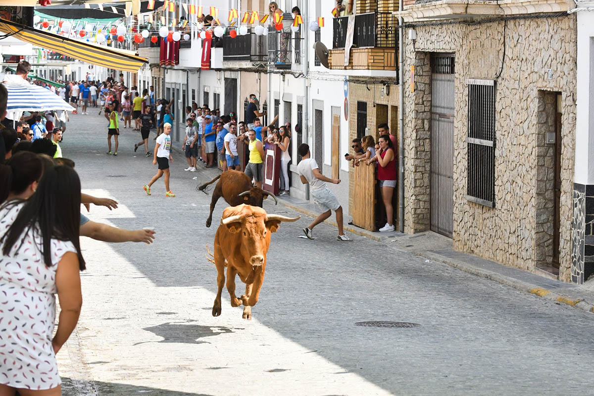 Santísimo Cristo de la Buena Muerte Encierros El Viso de San Juan