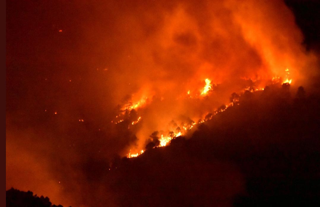 Incendio forestal de Cañamares (Cuenca).