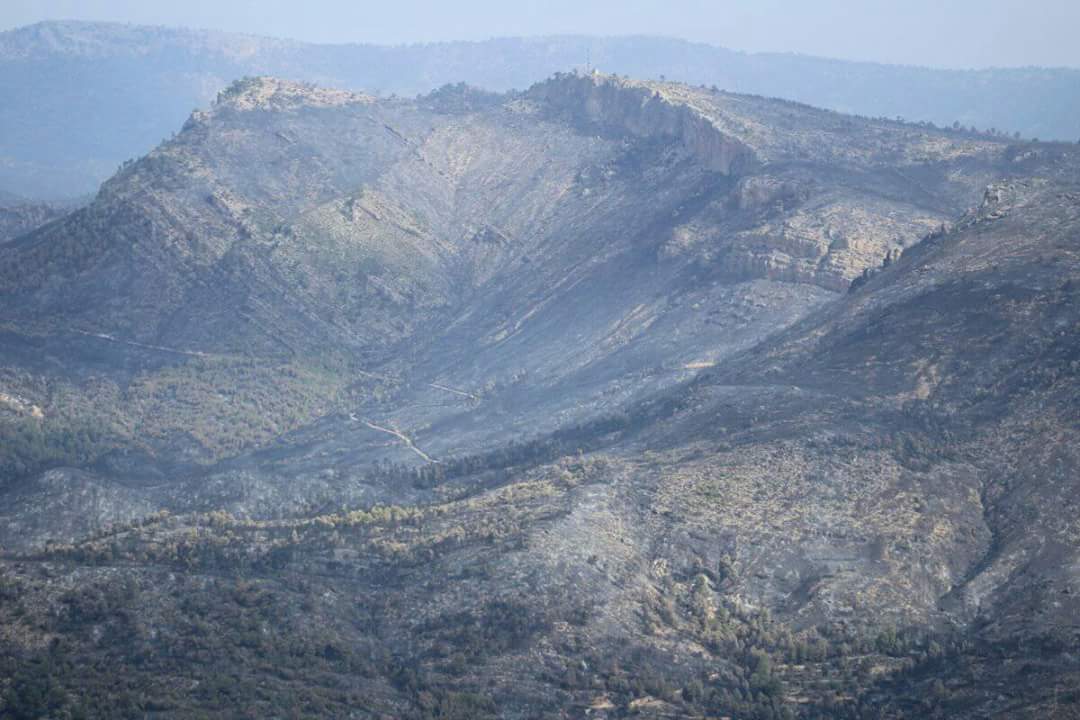 Medio millón para restaurar el incendio de Yeste