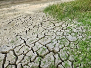 Cambio climático.