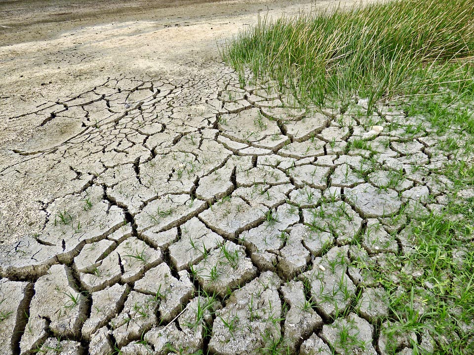 Cambio climático.