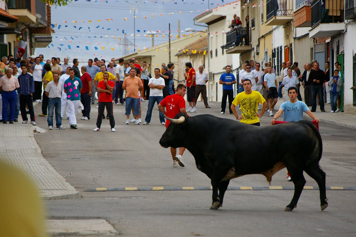 Encierros Villaseca de la Sagra