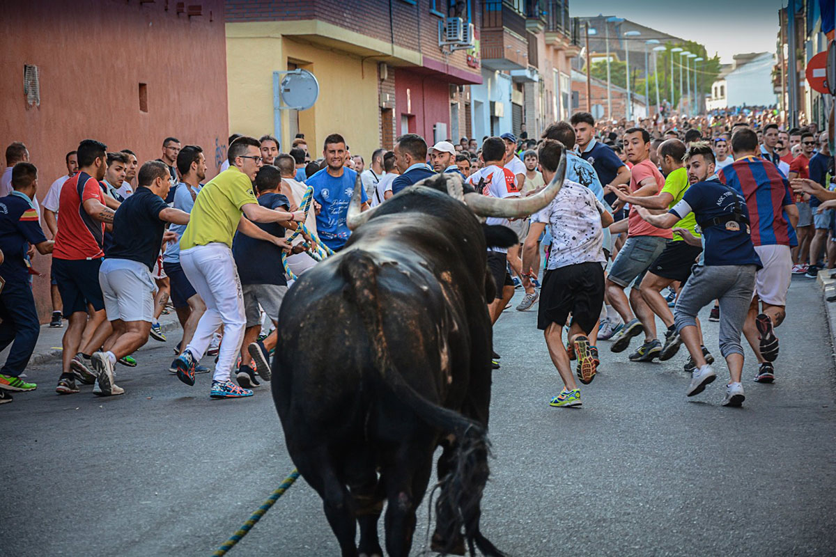 Fiestas de Yuncos Virgen del Consuelo