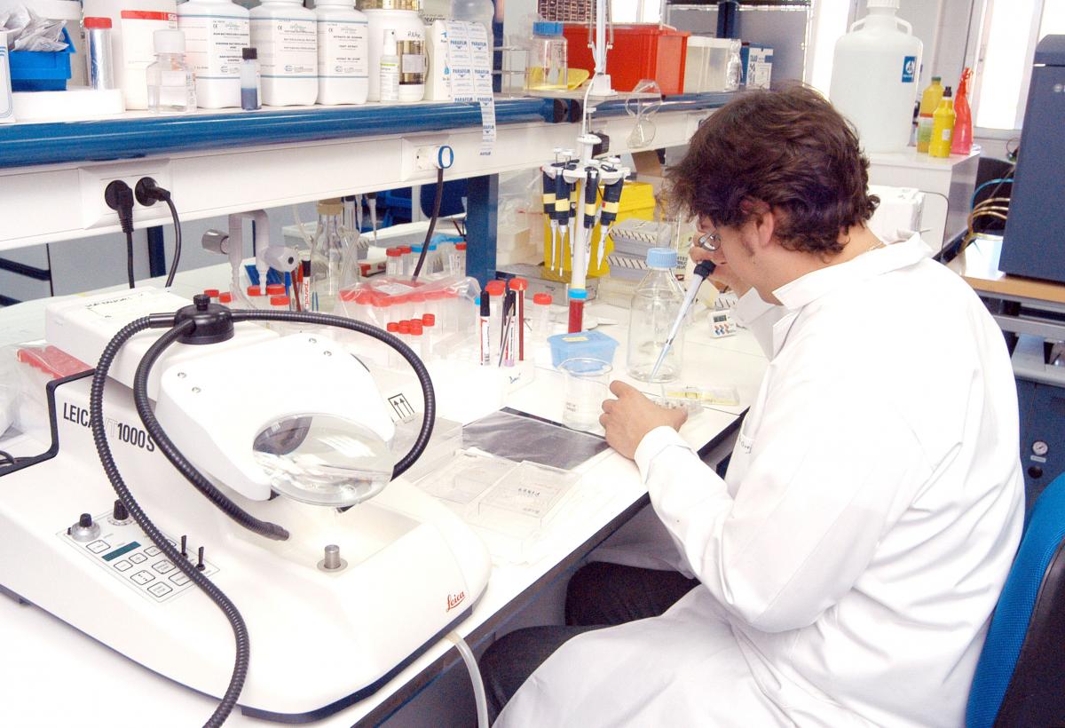INVESTIGACIÓN Científico trabajando en el laboratorio de Neuroinflamación del Hospital Nacional de Parapléjicos.