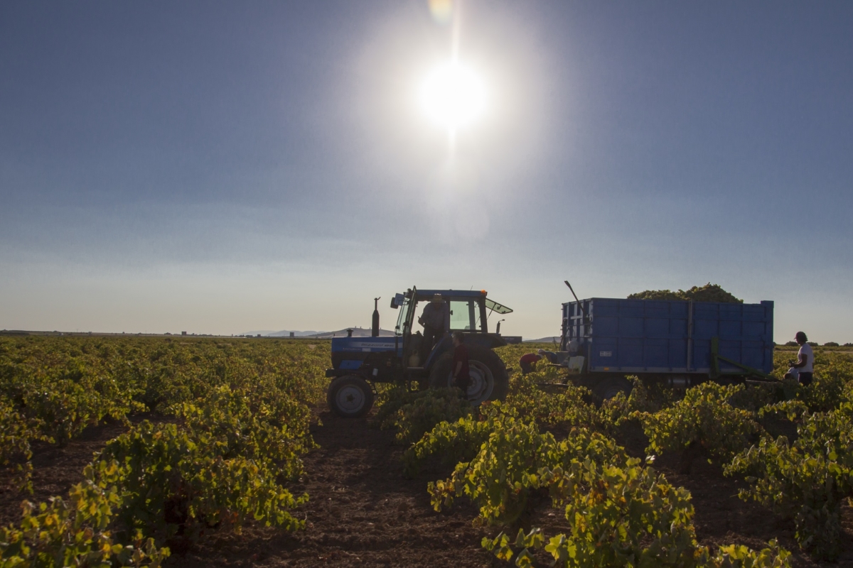 Eurocaja Rural ayuda en la tramitación de la PAC