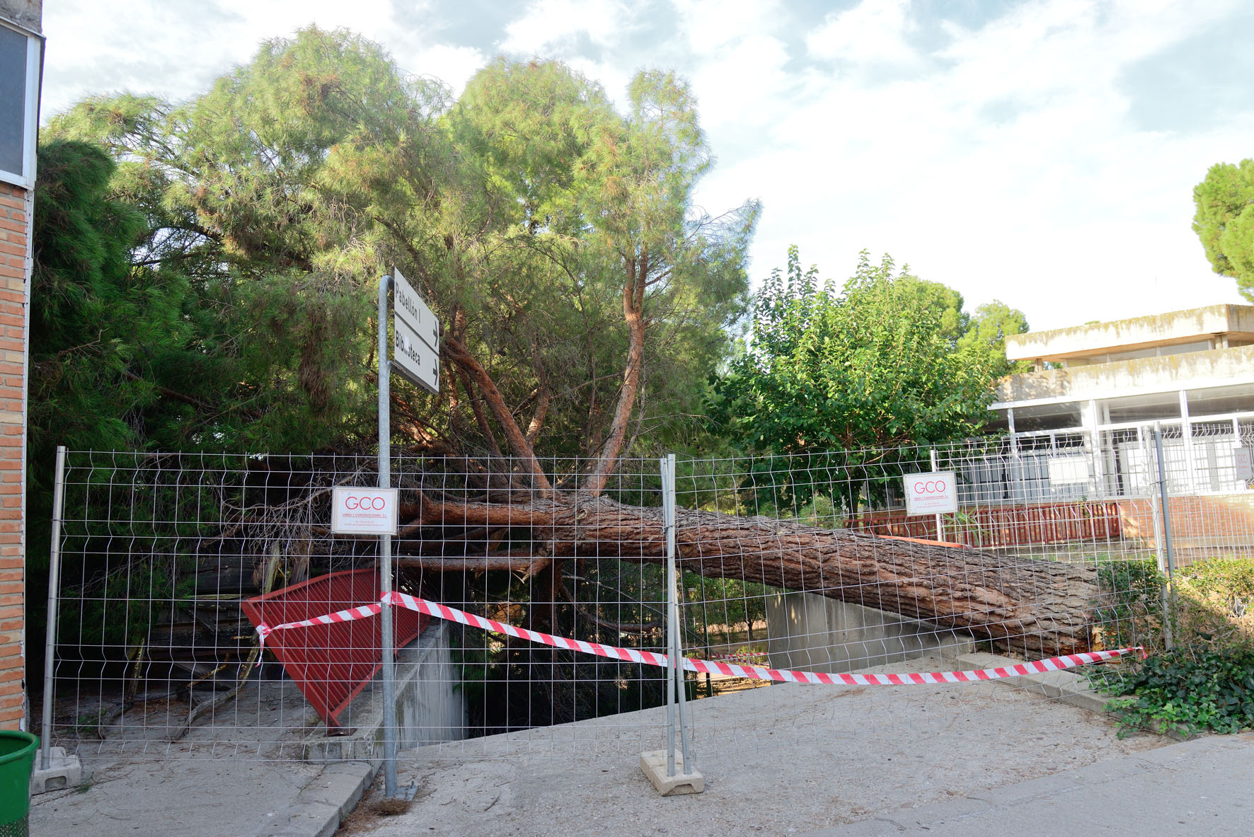 Árbol caído en la Universidad Laboral de Toledo, en las proximidades al comedor del centro, hecho que no ha producido herido alguno.