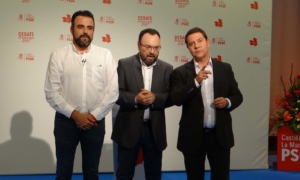 Page atacó en el debate de la bicefalia