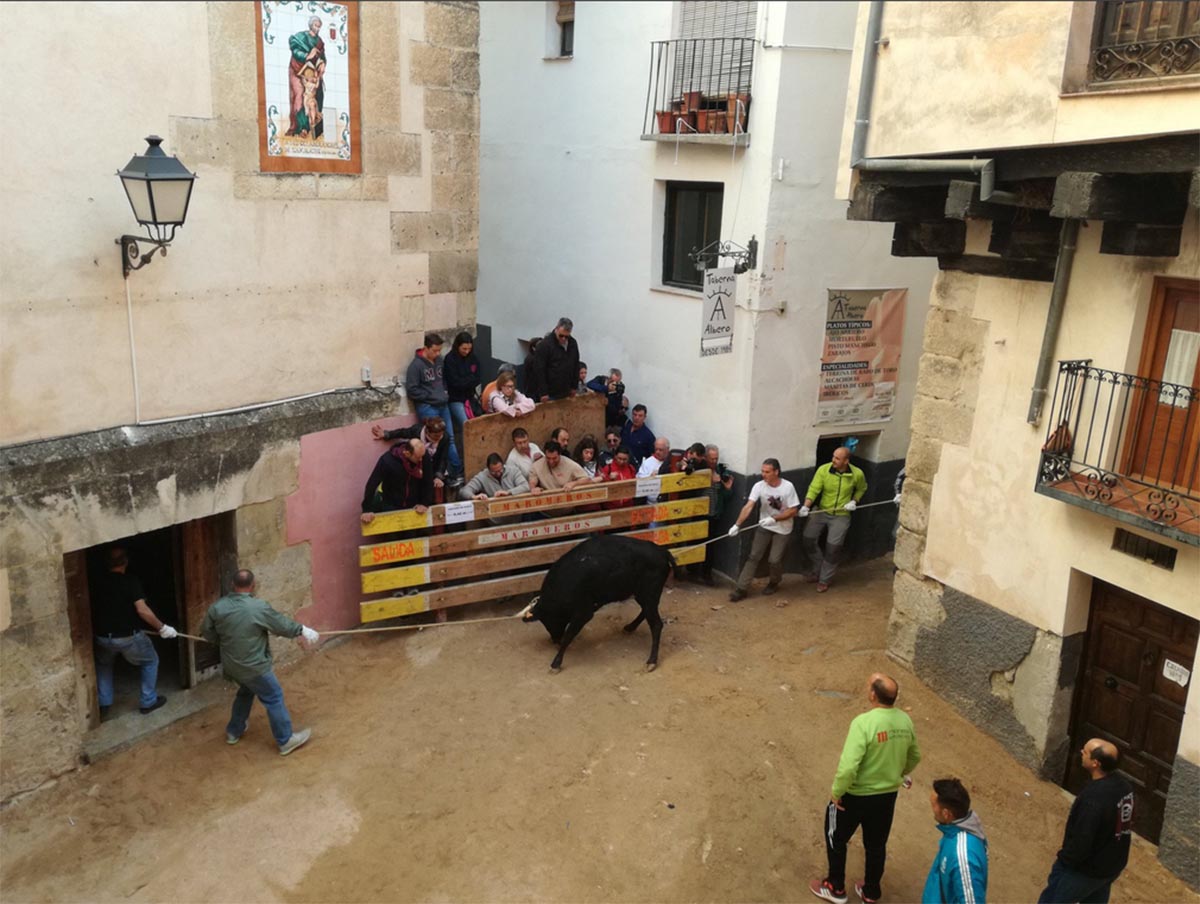 Un matrimonio de ancianos se despista y es embestido por una vaquilla en las fiestas de Cuenca