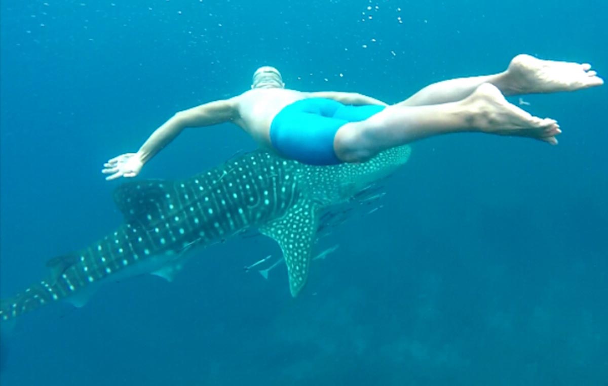 Alberto Pérez, junto a una cría de tiburón ballena