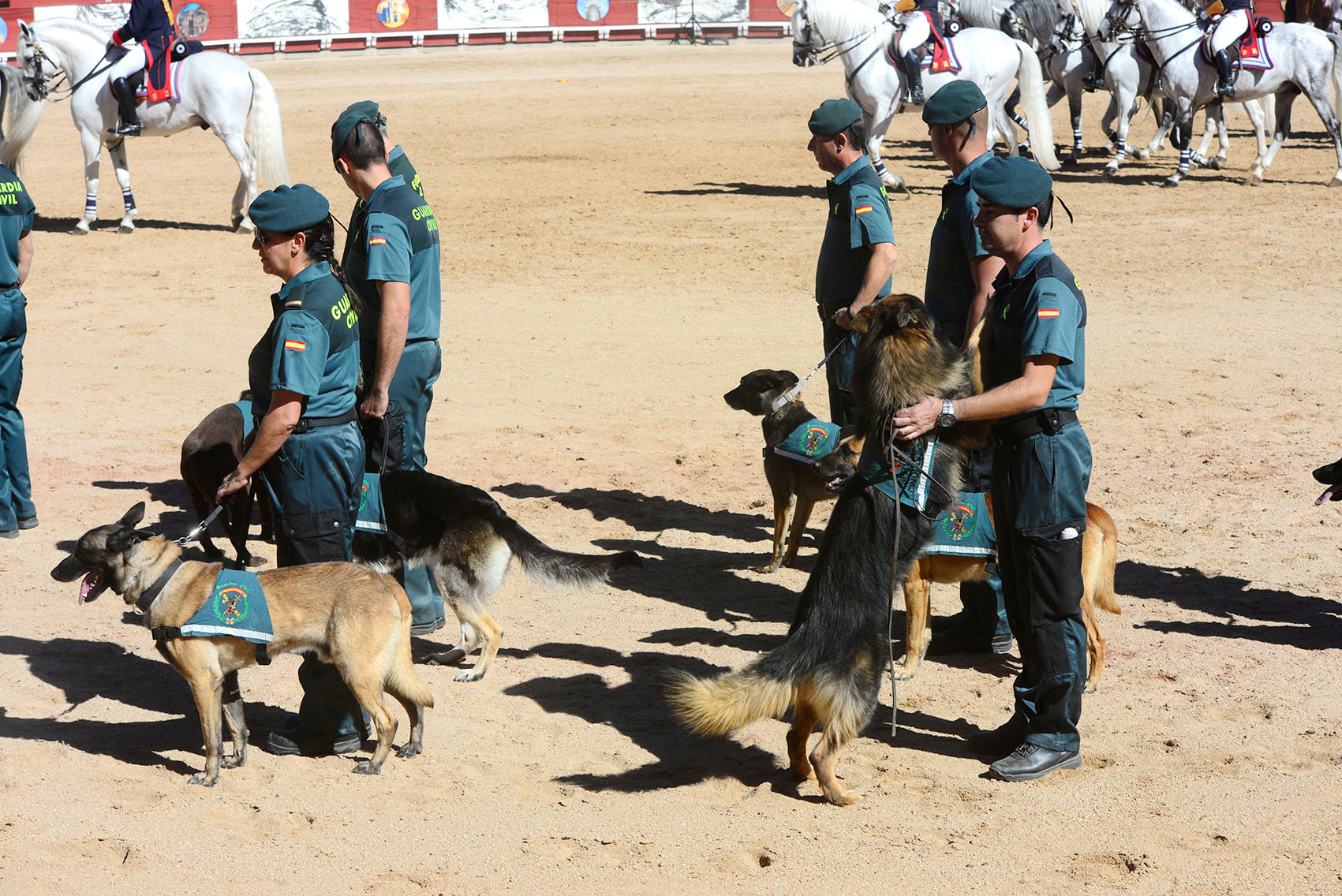 La Guardia Civil celebra en Toledo el acto central de su patrona