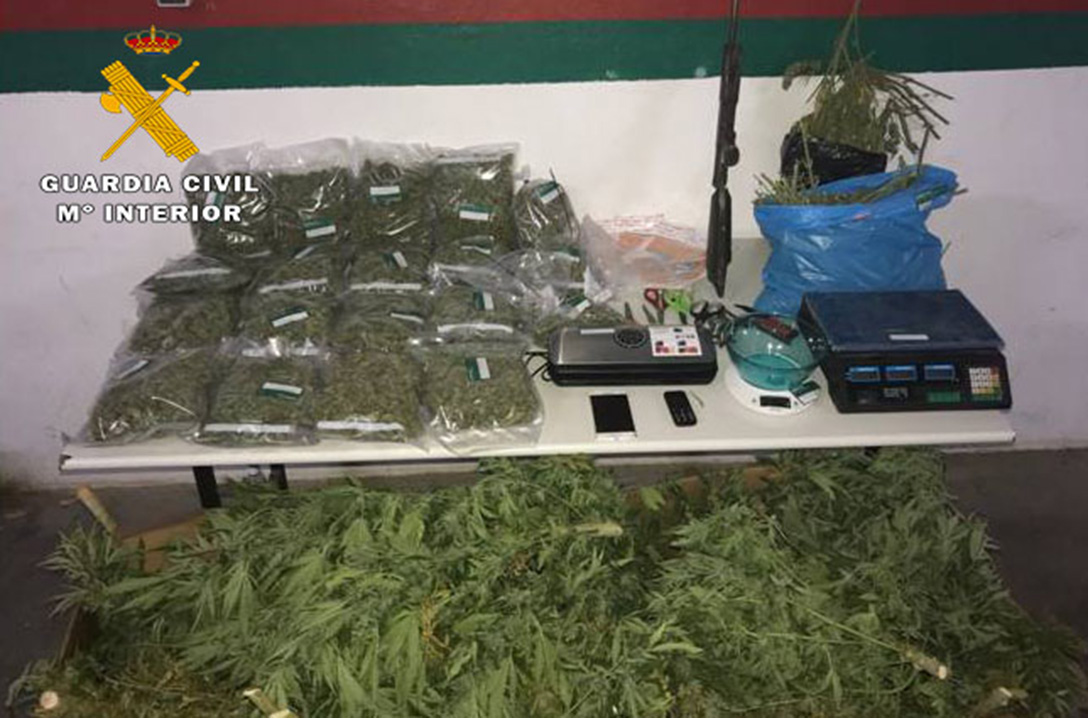 Marihuana incautada en la operación Gárgaro en Villarrobledo (Albacete) y El Provencio (Cuenca).