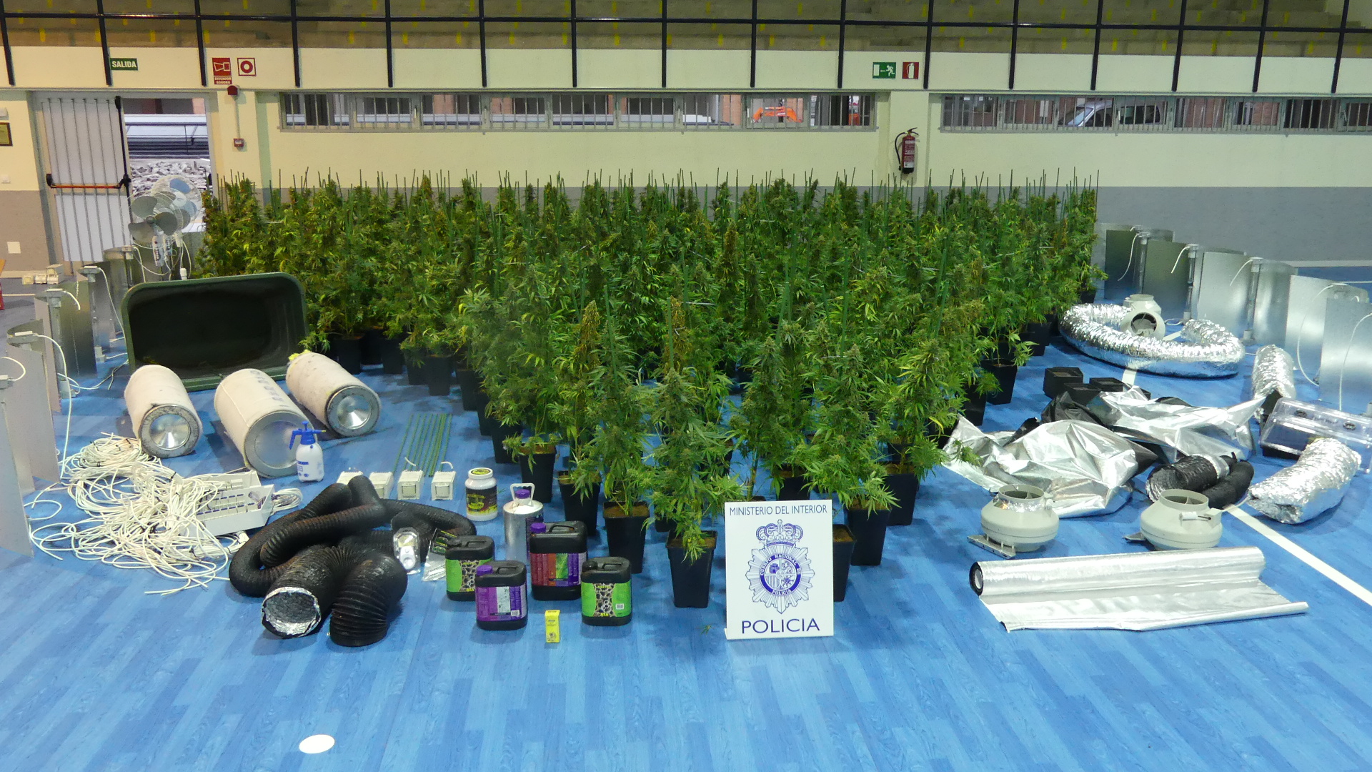 Plantas y material incautado por la Policía Nacional en Magán (Toledo).