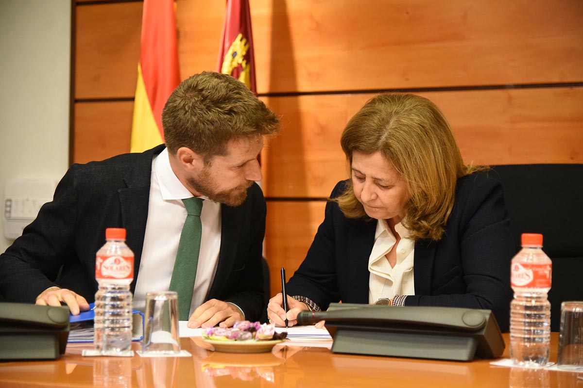 Javier Barrado, presidente de Gicaman, en la Comisión de Fomento