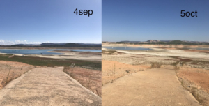 Así está el embalse de Buendía. Entrepeñas y Buendía