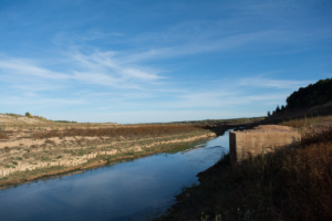 Aledaños del embalse de Buendía.