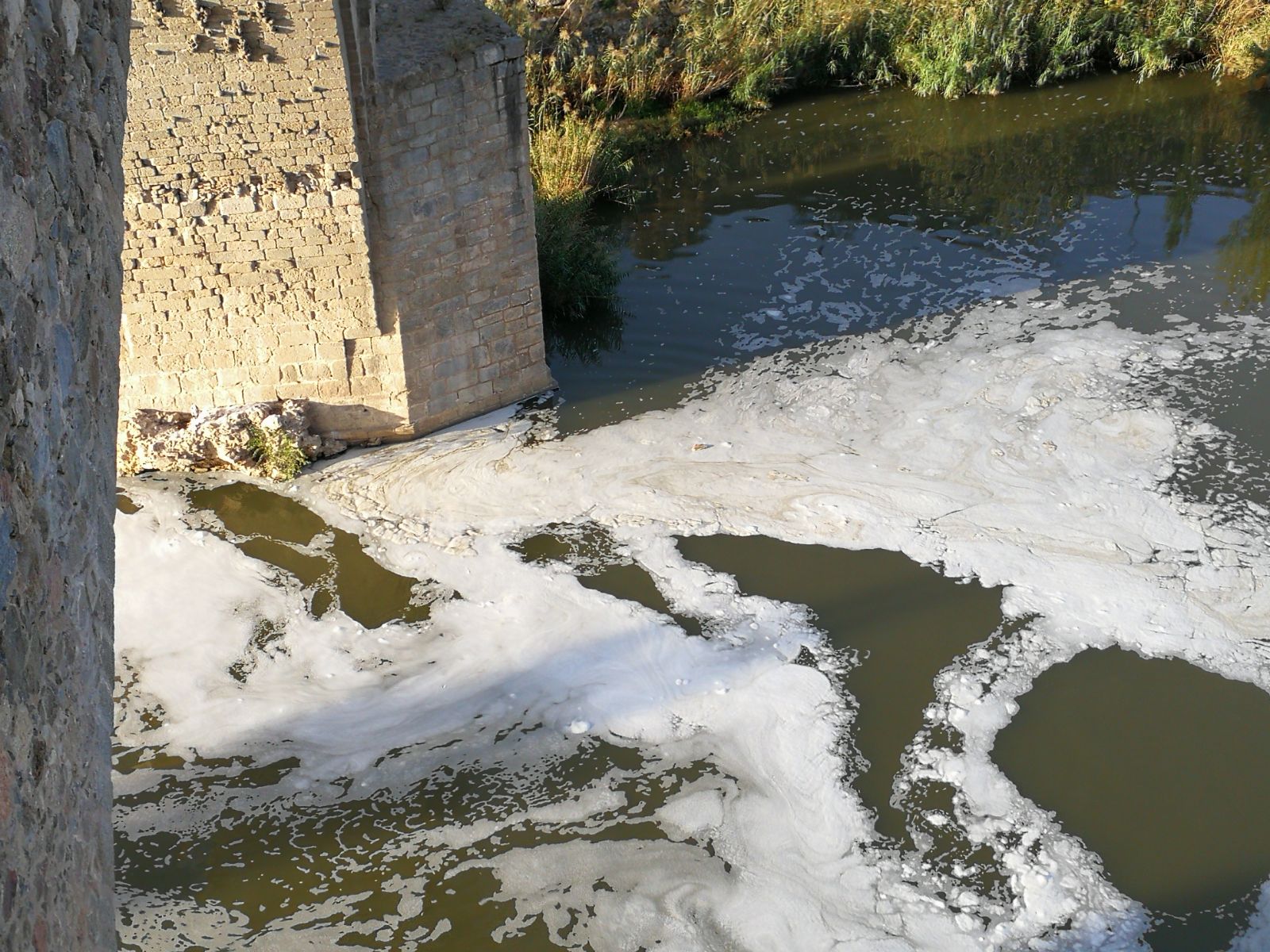 Así baja el río Tajo hoy por Toledo, lleno de espumas