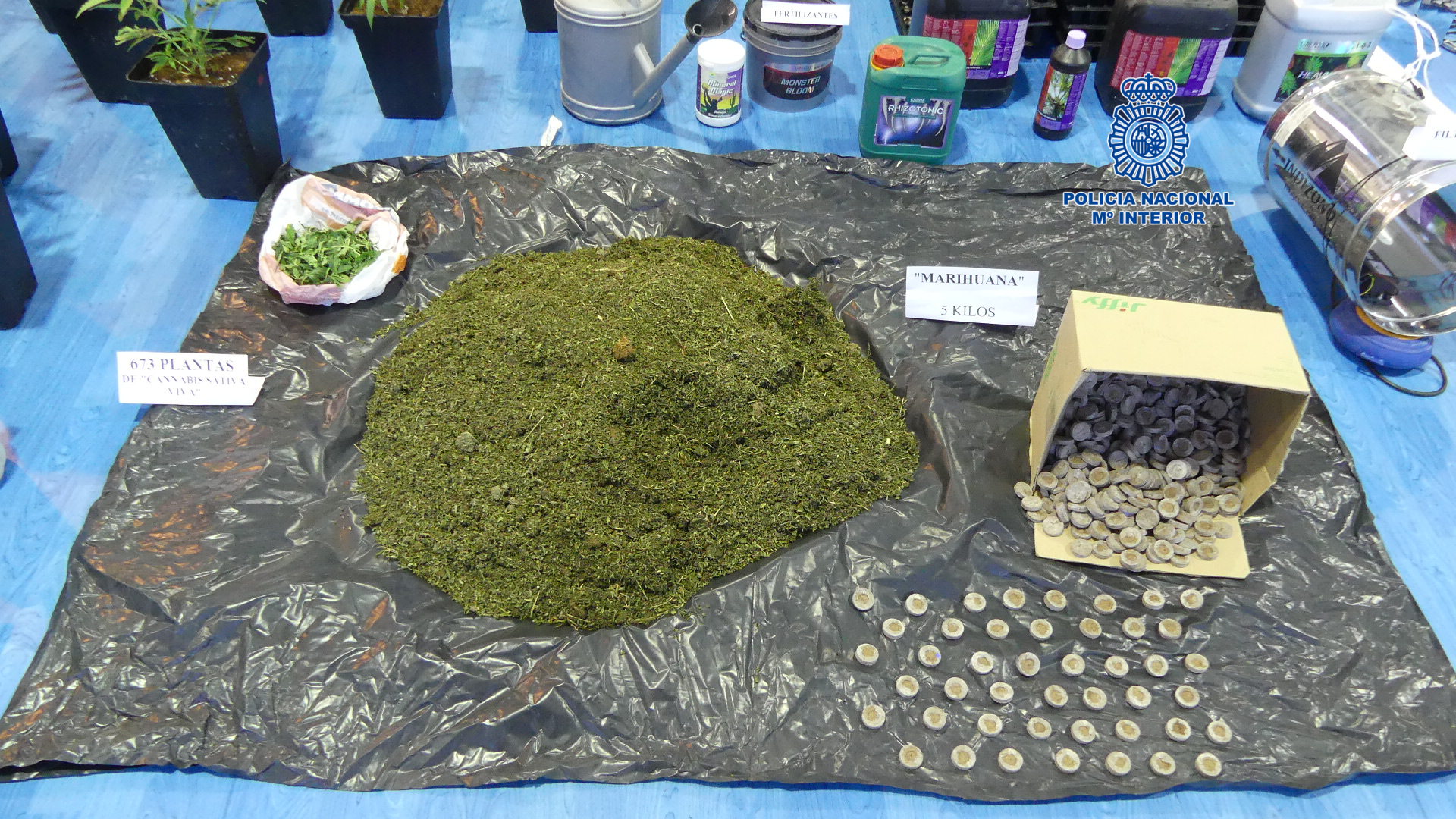 5.400 gramos de marihuana incautados durante la operación en Camarena.