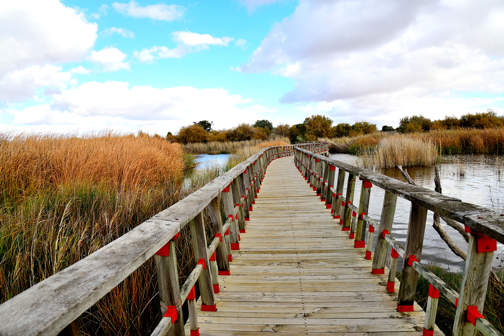 Las Tablas de Daimiel, un espectáculo de la naturaleza.