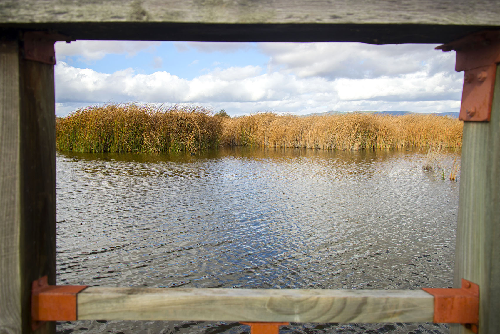 Tablas de Daimiel.