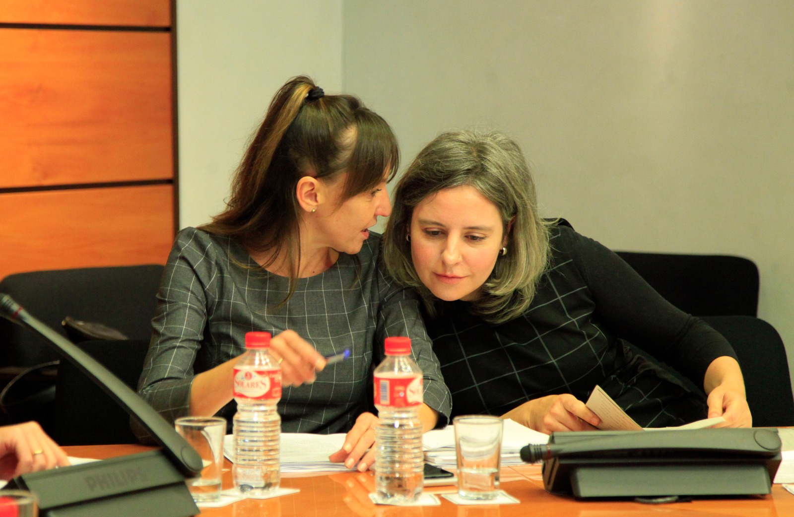 Araceli Martínez, directora del Instituto de la Mujer, junto a Inmaculada Herranz en las Cortes