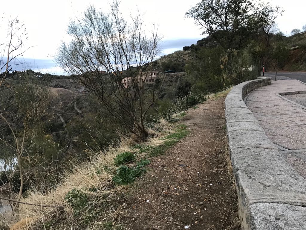 Limpieza de la zona del Valle de Toledo.