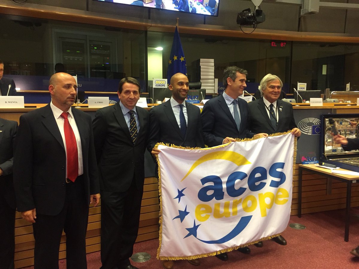 Los representantes de Guadalajara, con el alcalde Antonio Román a la cabeza, posando con la bandera en el Parlamento Europeo.
