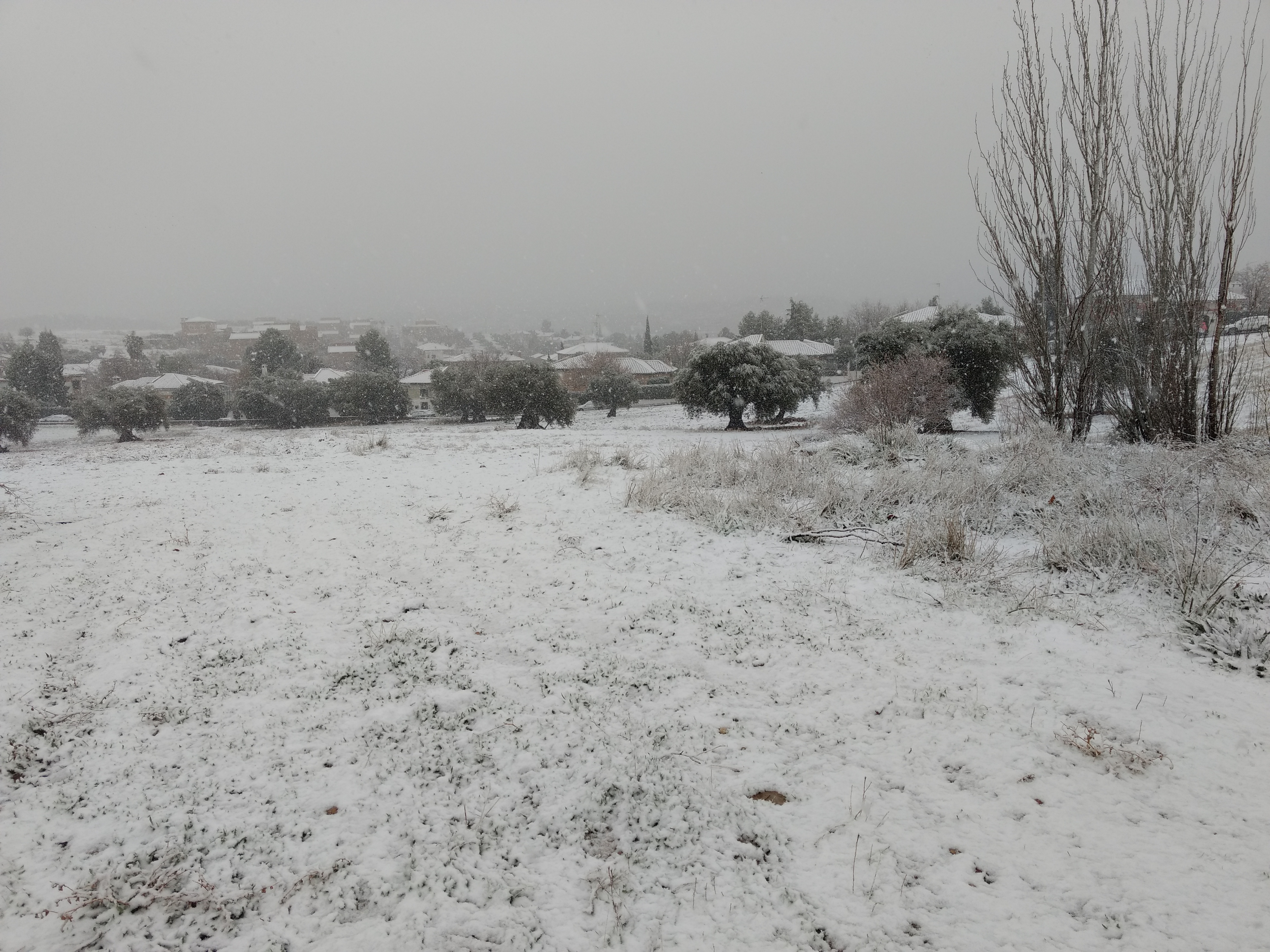 Bargas, municipio vecino de Toledo, ha amanecido cubierto de nieve