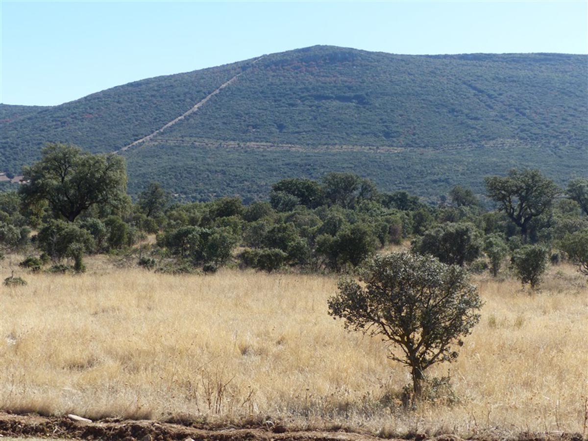 Finca de Los Yébenes afectada por un cerramiento cinegético que denuncia Ecologistas en Acción