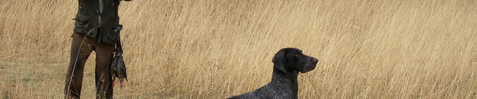 caza Imagen de archivo de un cazador junto a su perro.