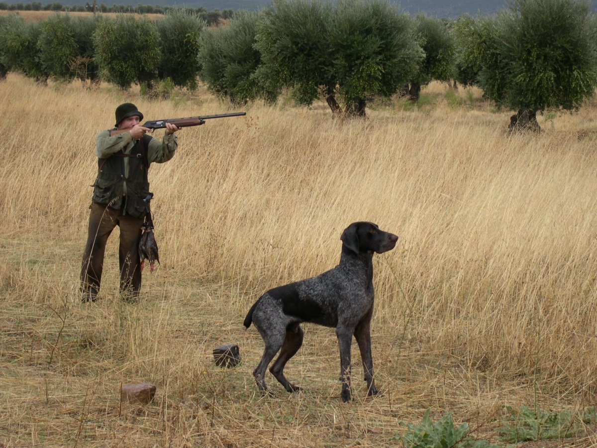 caza Imagen de archivo de un cazador junto a su perro.