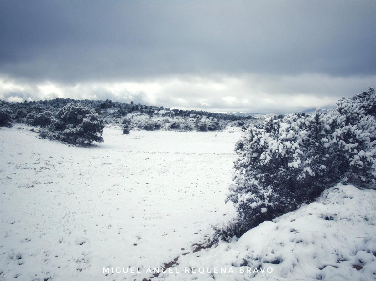 Nieve en Alcadozo (Albacete)