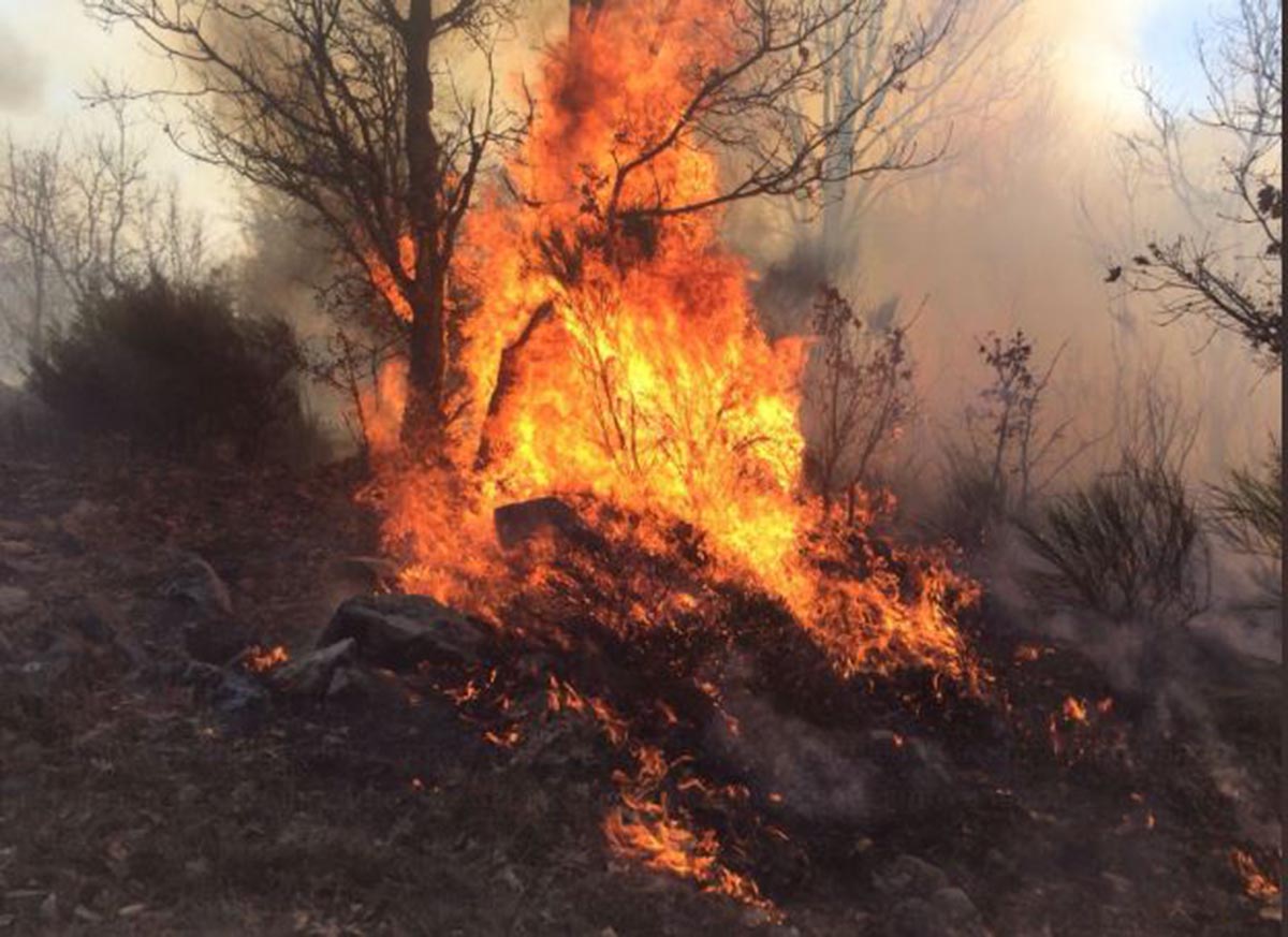 Incendio en El Real de San Vicente