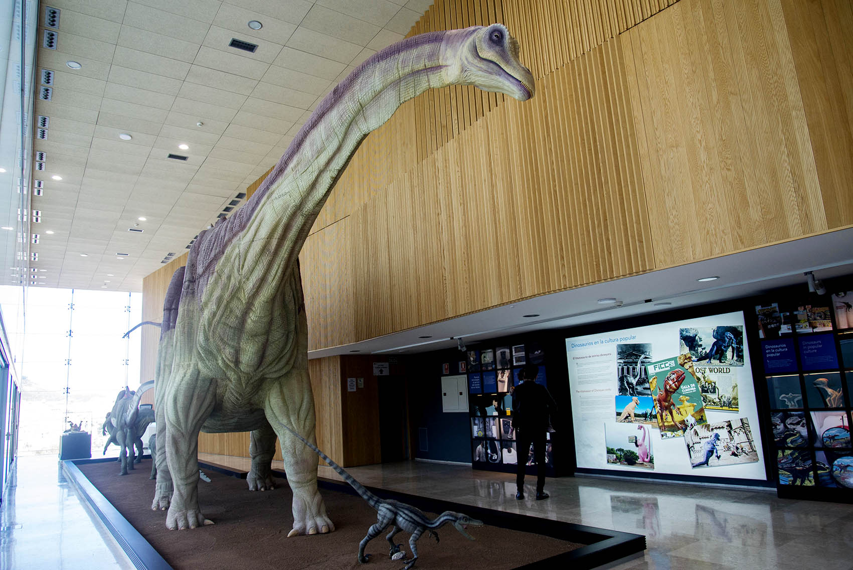 Museo de Paleontología de Castilla-La Mancha, en Cuenca.